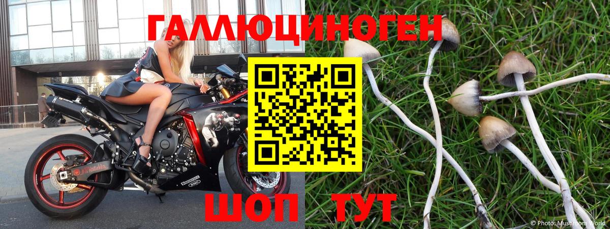 Псилоцибиновые грибы прущие грибы Сарапул